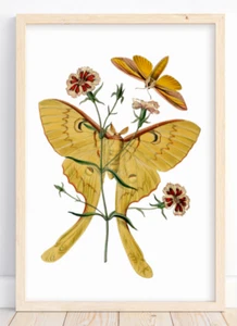 Impresión de arte de pared de mariposas, impresión de mariposas amarillas, impresión de decoración de arte de pared #80 - Imagen 1 de 2