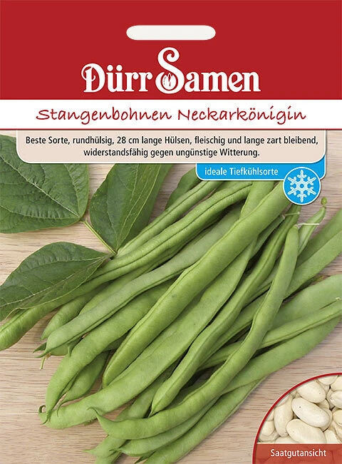Stangenbohnen Neckarkönigin Saatgut von Dürr-Samen - Bild 1 von 1