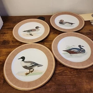 ARITA Japan Le Canard Pattern 81030/885 Design By GEAR 9" Dinner Plate - Picture 1 of 18