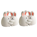 1Pcs Hug Rabbit Bookend Rabbit Book Stand Crafted Book Ends Bookends7100