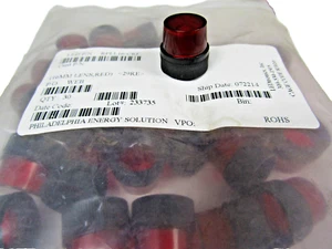 🔥30) NEW 16MM RED LENS RPLL16-CRF FOR RPLH16 LED PANEL INDICATORS LOT OF 30 - Afbeelding 1 van 5