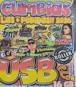 USB Con Musica Cumbias Las Más Pedidas Rumbo 2026 USB Con 4.100 Temas - Picture 1 of 2