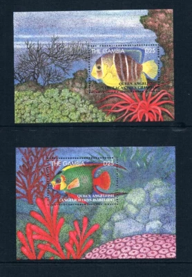 Valor Scott de $17,00 - 1995 GAMBIA 2 s/s peces de África Occidental CV MNH NH UMM Foto 1 de 4