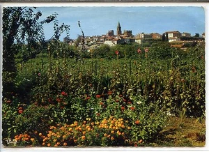 CP 83 Var - Fréjus - Vue générale - Picture 1 of 2