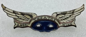 WWII American Theatre Wing Pin - Picture 1 of 4