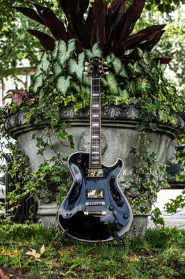 Knaggs Kenai/T.O.M./Oro HW/Negro Brillo Foto 1 de 4