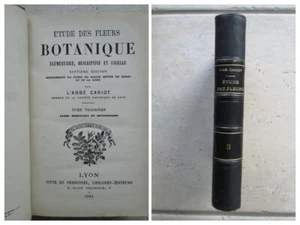 CARIOT : ETUDE DES FLEURS, 1884. - Bild 1 von 12