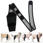 S Dog Hindleg Cover Sleeve for Dogs Rear Bandages Wounds