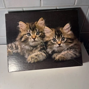 Vintage 1988 Great American Puzzle Factory Little Whiskers Puzzle - Bild 1 von 7