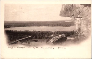 Bridge View from Barn Bluff Red Wing Minnesota MN 1906 RPPC Postcard Photo UDB - Picture 1 of 2