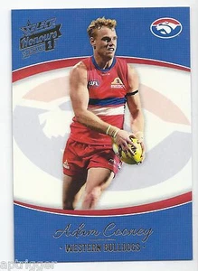 2014 Select Honours Base Card (211) Adam COONEY Western Bulldogs - Picture 1 of 1