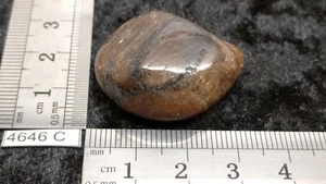 CHIASTOLITE ANDALOUSITE - pierre roulee naturelle - mineraux lithotherapie reiki - Picture 1 of 3