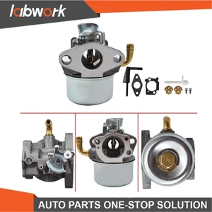 Labwork 121312-0144-E1 Carburetor Kit For 798653 Replaces 697354 790290 791077 - Picture 1 of 9