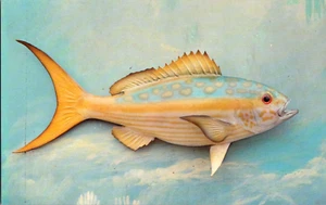 Postkarte Yellowtail Floridas berühmte Fischserie Chrom unbespielt - Bild 1 von 2