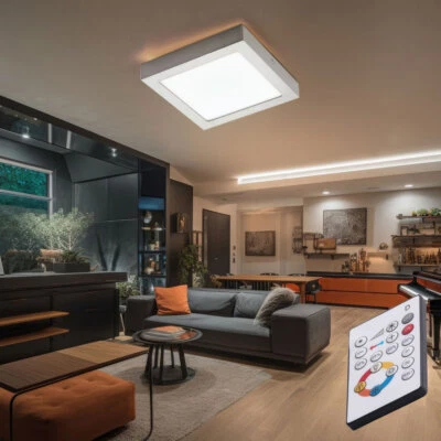 Plafoniera Lampada da Soggiorno Argento Telecomando Regolatore Cct LED - Immagine 1 di 4