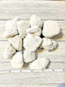 Piedras de juguete de 550 piezas de loro pájaro mastica mascotas piedra de 1"- 2" - Imagen 1 de 2