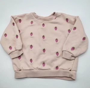 Zara Toddler Girls SZ 2 All Over Strawberry Embroidered Pullover Sweatshirt Pink - Picture 1 of 5