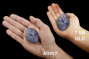 BLUE QUARTZ Tumbled 1 1/2" 2-3 Oz Rock Mineral Throat Chakra Natural Specimens - Picture 1 of 4