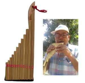 Wote Thai Pan flet instrument bambusowy tradycyjny musical Isan Laos Panpipe 12 - Zdjęcie 1 z 9