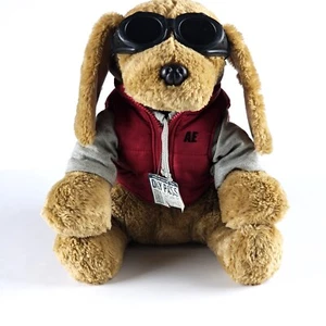 American Eagle Performance Plush Bear Hoodie Sunglass Daypass 14 inches AE - Picture 1 of 10