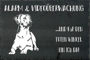 RHODESIAN RIDGEBACK Hundewarnschild Hundeschild Warnschild SCHIEFER NEU #07 - Bild 1 von 3