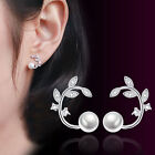 Women's Solid Silver Crystal Leaf Pearl Stud Earrings For OL Jewelry girls