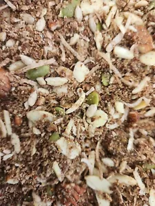 Keto Sugar Free Granola, High Quality With Organic Maca Powder, Monk Fruit 1kg - Picture 1 of 1