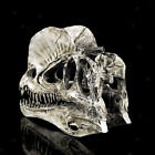1/3 Scale Dinosaur Dilophosaurus Resin Skull Figurine Home Collection White