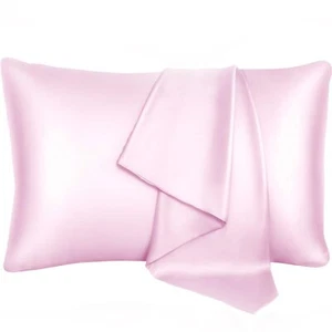 BlueHills 22 Momme 100% Pure Mulberry Natural Soft Both Sides Silk Pillowcase... - Picture 1 of 8