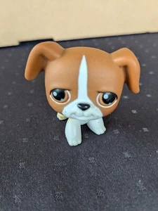 LPS Littlest Pet Shop #25 Brown Boxer Brown Eyes - Picture 1 of 5