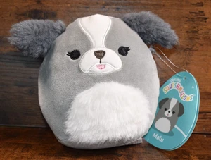 NWT 5 " Inch Malu the Shih Tzu Dog Squishmallow - Picture 1 of 10