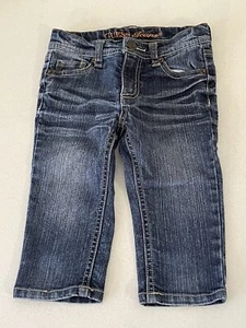 GUESS JEANS, Little Girl’s Size 5, Blue Jeans w/Copper Color Embroidery Accents - Picture 1 of 12