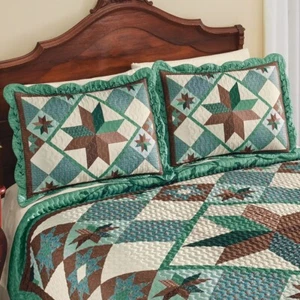 Funda de almohada Country Patchwork Star & Green Vine con bordes - Imagen 1 de 1