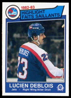 Lucien DeBlois 1983-84 O-Pee-Chee #378 NMT - Image 1 of 2