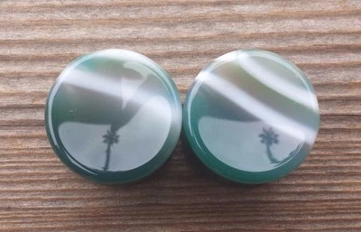 PAR DE TAPONES DE ÁGATA CÓNCAVOS REALES RAYAS VERDES MEDIDORES JOYERÍA CORPORAL DOBLE ACAMPANADO Foto 1 de 4