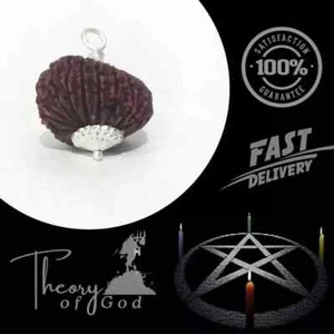 21 Mukhi Rudraksha With IGL Lab Certificate From Nepal - Rare & Energized Bead - Imagen 1 de 6