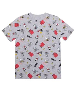 Peanuts Big Boys All Over Print Short Sleeve Graphic T-shirt - Heather Gray - Picture 1 of 1