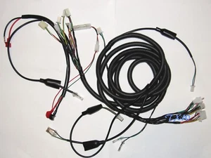 Wire harness for 150 200 GO KART KINROAD DAZON KANDI ROKETA BAJA TIKING TAO - Picture 1 of 5