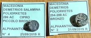 RARI 2 BRONZI REGNO MACEDONIA DEMETRIO POLIORKETES - LECITA PROVENIENZA - - Foto 1 di 2