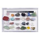 24-piece Rock And Mineral Mining Experimental Set with Showcase