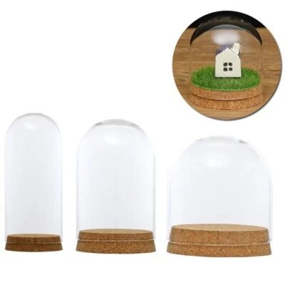 Glashaube Cloche Glas Haube Glasdom Glaskuppel Glassturz Glasglocke + Holz Base - Bild 1 von 4