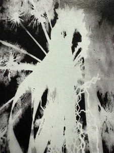 1995 SCORN EVANESCENCE DUB AMBIENT CASSETTE NAPALM DEATH MEMBERS RARE EARACHE - Picture 1 of 5