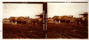 Côte des Somalis.Djibouti.Marché au Bois.2.Vue stereo su verre 6x13.Glass Stereo - Picture 1 of 1