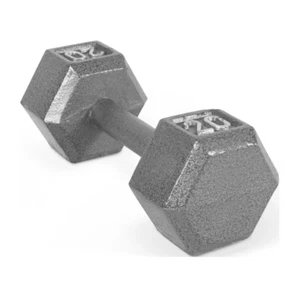 20 lbs Cast Iron Hex Dumbbell Single for Home Gym Workout Strength Training NEW - Picture 1 of 4