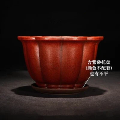 Antigua maceta china de arcilla de árbol bonsái en maceta con pétalos de Zisha de 5,9 pulgadas + bandeja Foto 1 de 4
