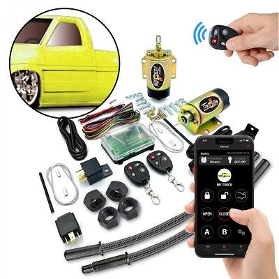 Universal Fit 4 Function 35lb Remote Shaved Door Kit w/ 12 Cable Looms & Relays Foto 1 de 4