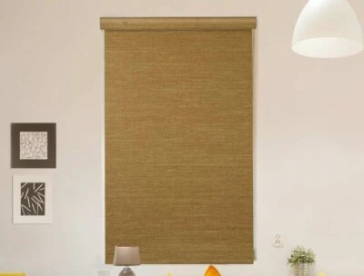 GoDear Pantalla enrollable inalámbrica, arena 46"x72" FRH033904I046072 Foto 1 de 4