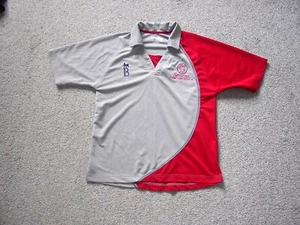 Camisa/top/camiseta/camiseta/talla juvenil de 1 día del condado de Bradbury Somerset - Imagen 1 de 1