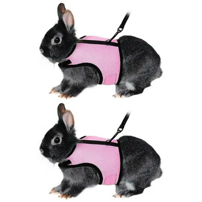  2 PCS Kaninchen Zubehoer Kaninchengeschirr Kleines Tierkabelbaum - Bild 1 von 4