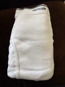 Men's 3 Pack Fruit of the Loom® WHITE BRIEFS NEW Small Medium Large XL 2XL 3XL - Picture 1 of 3